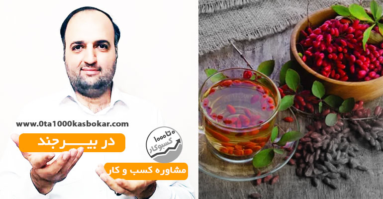 مشاور کسب و کار در بیرجند